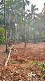 8 cent land sale at Mahe Pondicherry