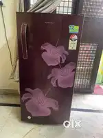 Kelvinator fridge