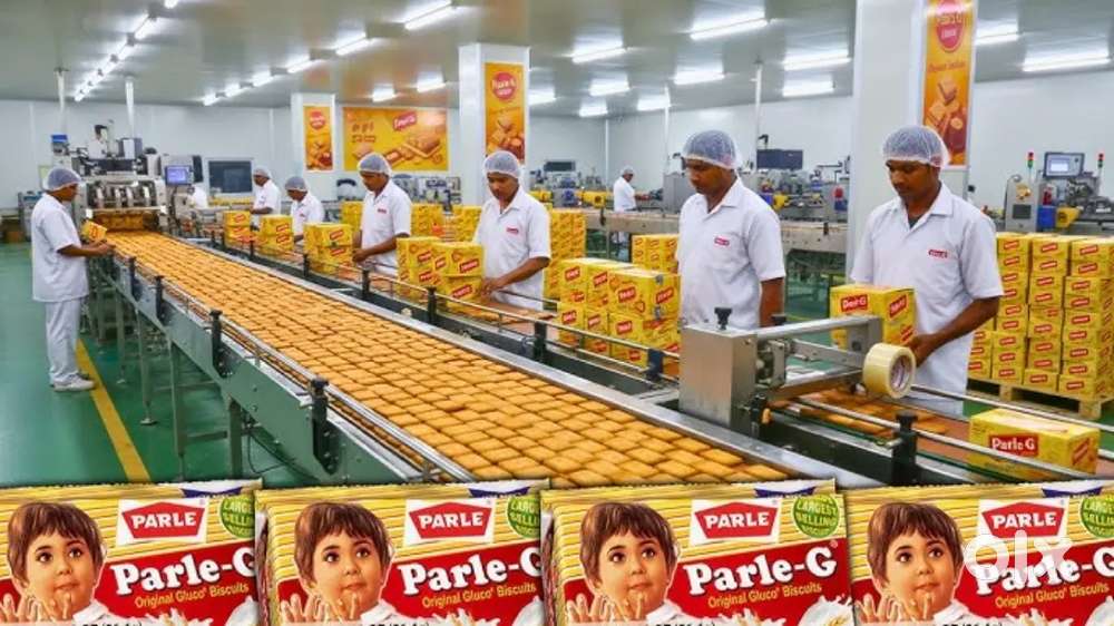 Biscuit factory packing job