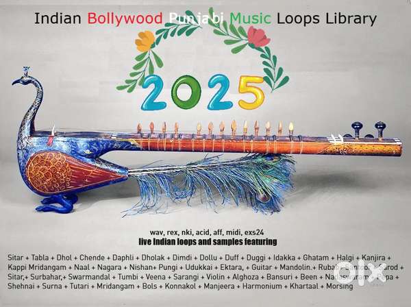 Indian Bollywood Punjabi Loops library sample foley Rmx tabla flute