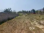 MYADI LAND FOR SALE IN NORTH GUWAHATI 1KM FROM UPCOMING HIGH COURT