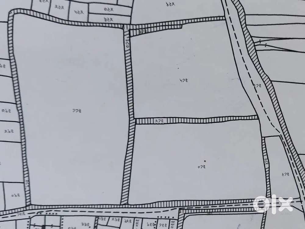 Flat for rent in hanuman Nagar road no 6 gaya bihar