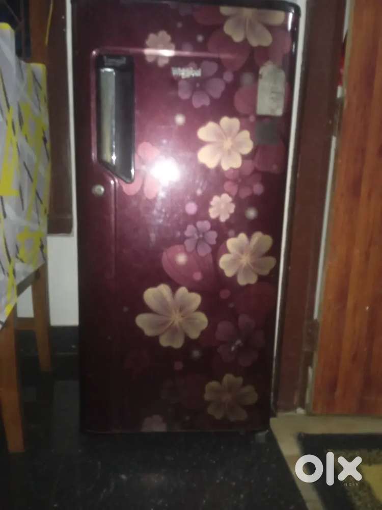 2 year old if good condition freeze