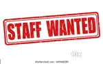 Sale' exicutive wanted in Sangeetha mobiles peddapuram