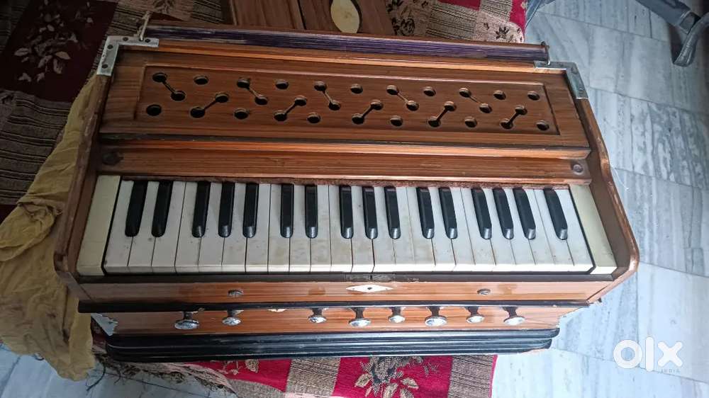 Bass male Harmonium 7 bellow