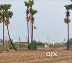 Kanchikacherla plots for sale