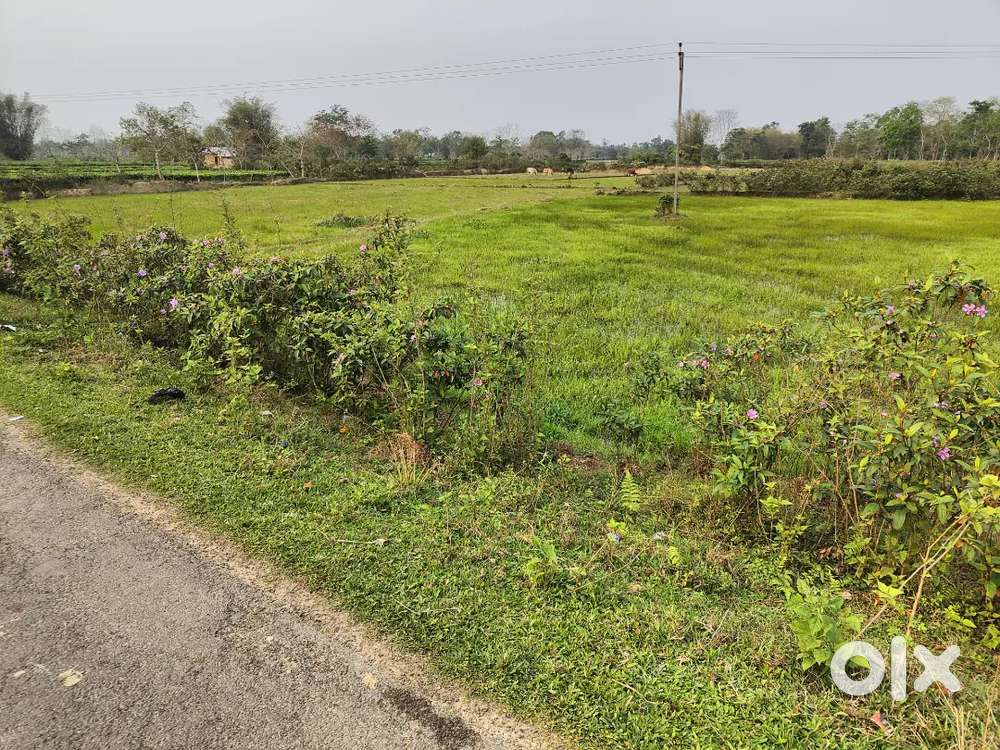 MYADI PATTA LAND in Dibrugarh