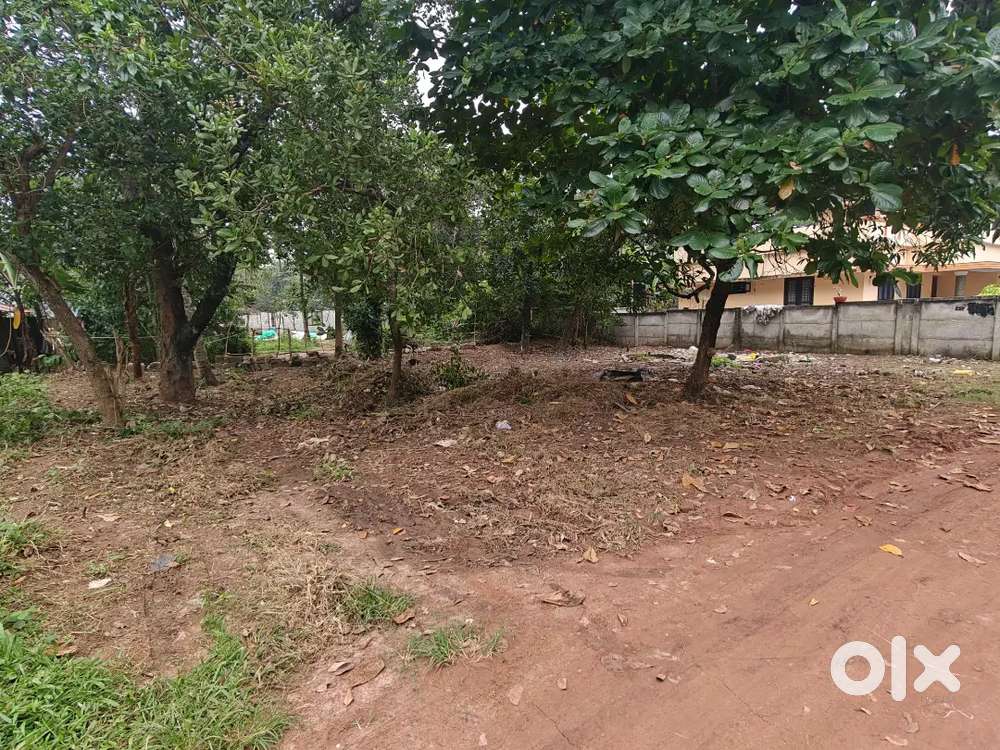 7.5 cent property good place two wheeler and car access.