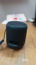 Sony Portable Speaker (Black)