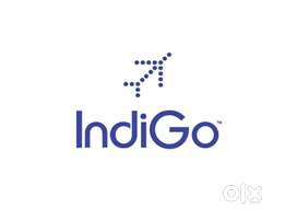 Vacancy in indigo Airlines urgent hiring apply fast