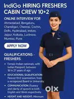 Indigo Airlines jobs /Vacancy for Airport Ground staf / Driver / Crew