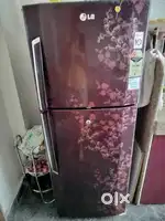 I have a  double door fridge of Lg, it is in good condition
