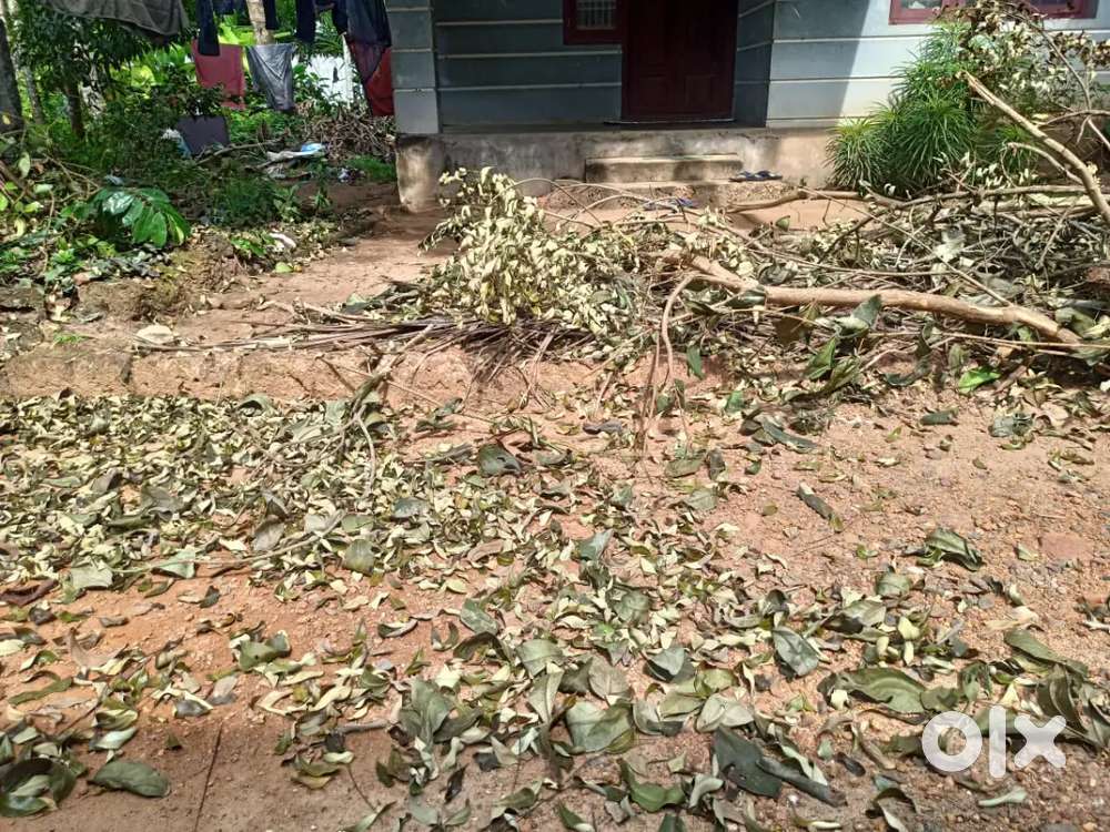 KOZHIKODE NADAKKAV PM .KUTTY ROAD