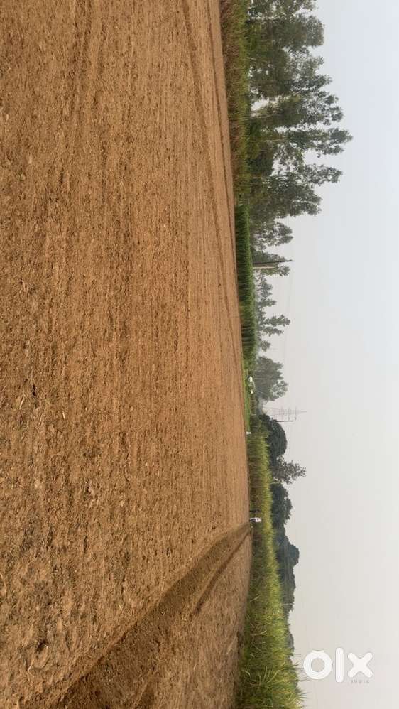 Agricultural land for sale , 10 bighas , on district road , 400mtr NH9