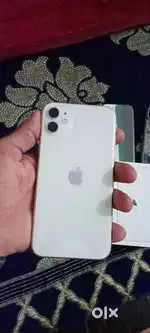 11 white colour