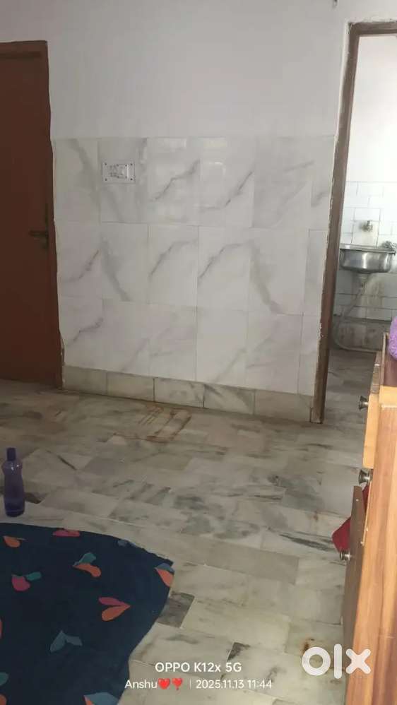 Need Female Roommate