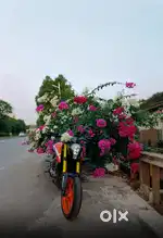 KTM 125 DUKE BS4