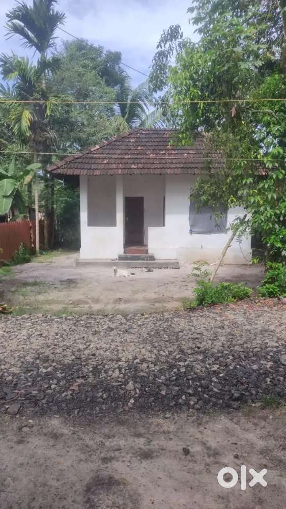 4 cent plot with 2bhk old house