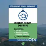 Survey Executive