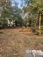 12 cent Housing Plot sale at Thaliparamba manna
