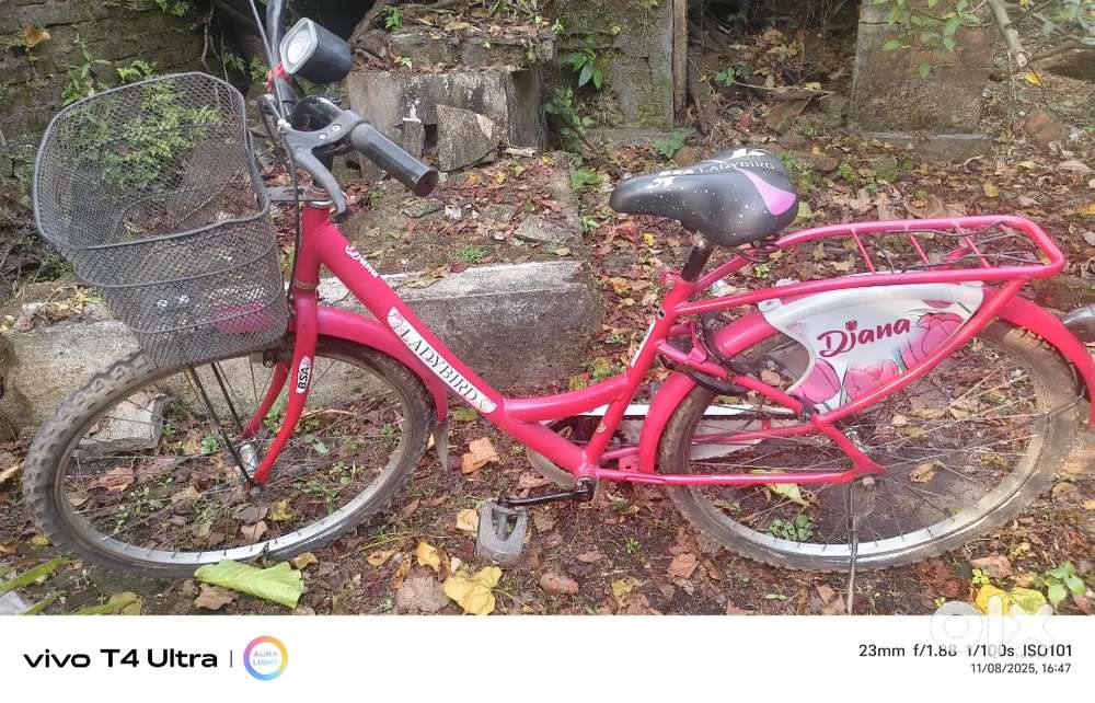 BSA LADY BIRD CYCLE FOR SALE