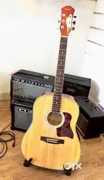 Acoustic Guitar