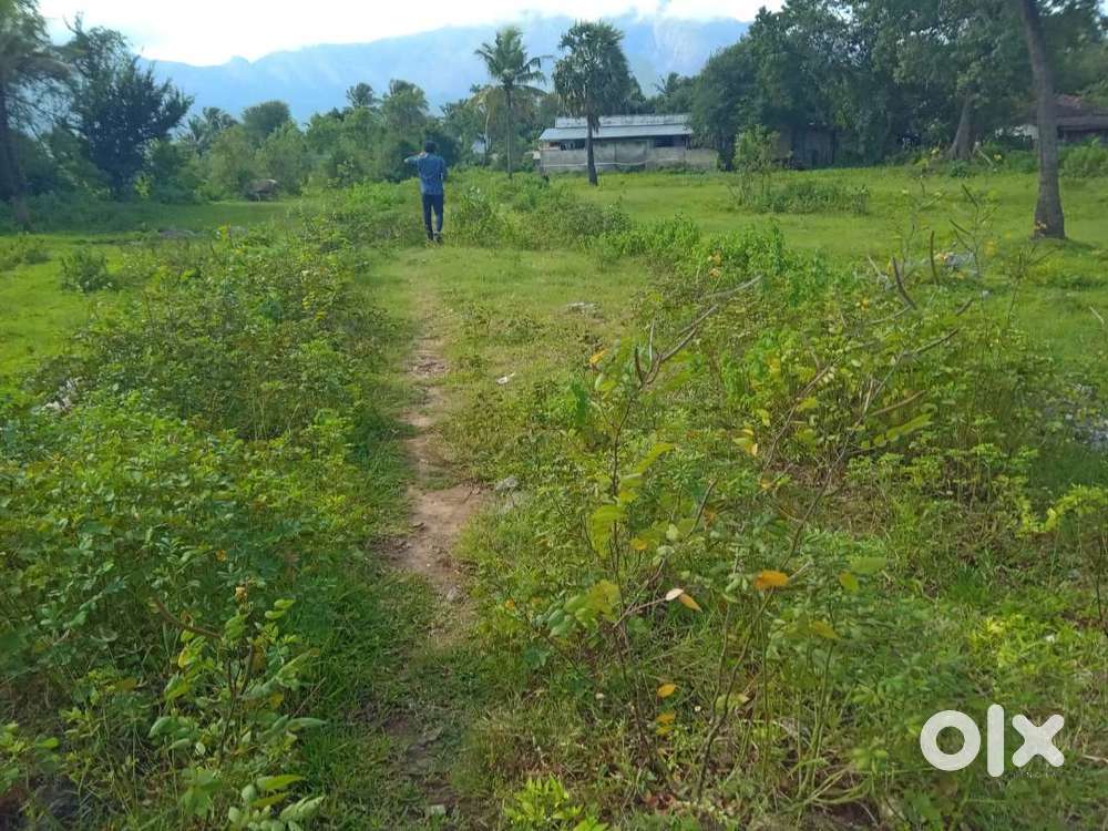 House plots for sale at Kanjikode close to National highway