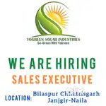 Sales Executive