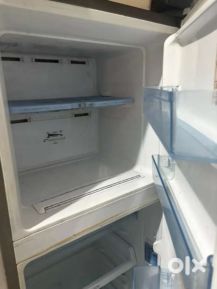 Fridge 2024