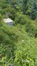 Mukteshwar land fully Himalayan view