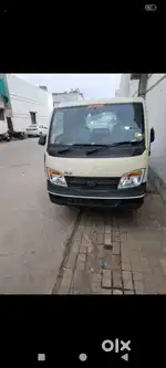 Condition best