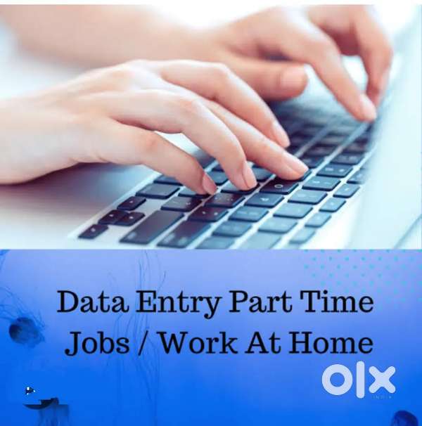 Best offer for every one home based online data entry work