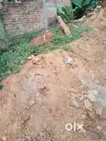 Myadi plot for sale