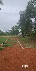 8 cent Housing Plot payyanur
Thayineri 300 mtr
