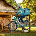 Belagavi Karnataka Pizza/Parcel Delivery Job Biker Executive