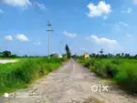 Land (Joka khariberia amtala)