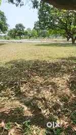 Plot For Sale