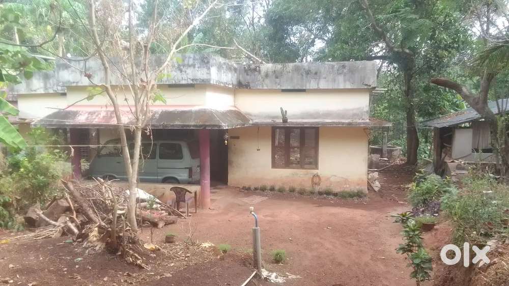 House for sale Nedungolam