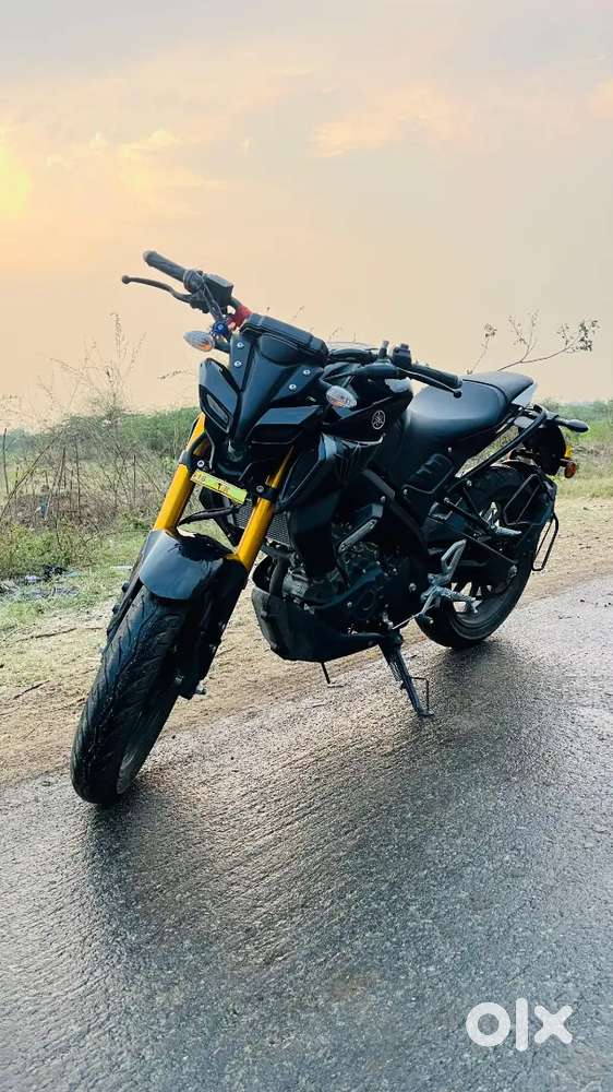 Black Beast