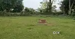 Land Near Borbheti L.P. School