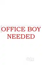 NEED OFFICE BOY