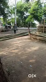 On rent for godown