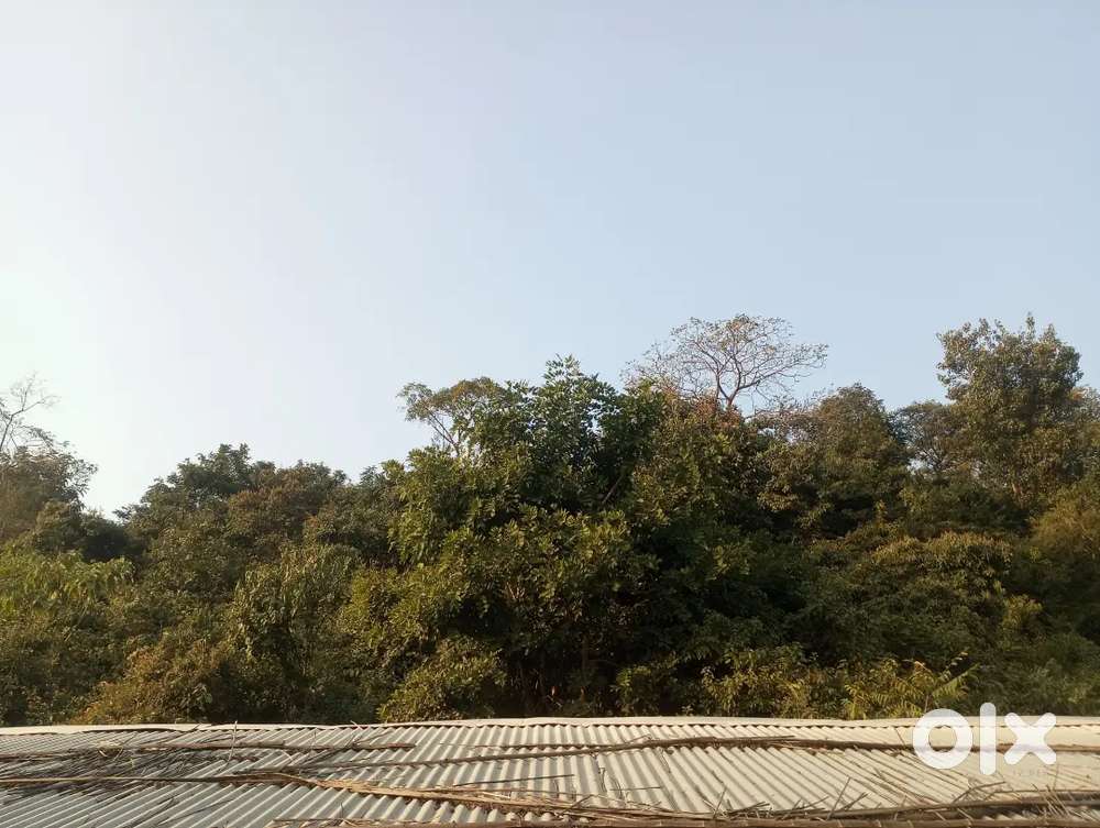 Mere paas tata k tin ki patre hai 160 do sal purane 14/4 k  mujhe is