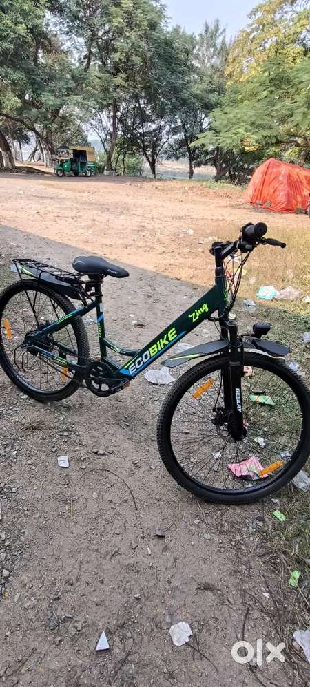 ECO BIKE - Zing