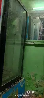 1 years old freeze