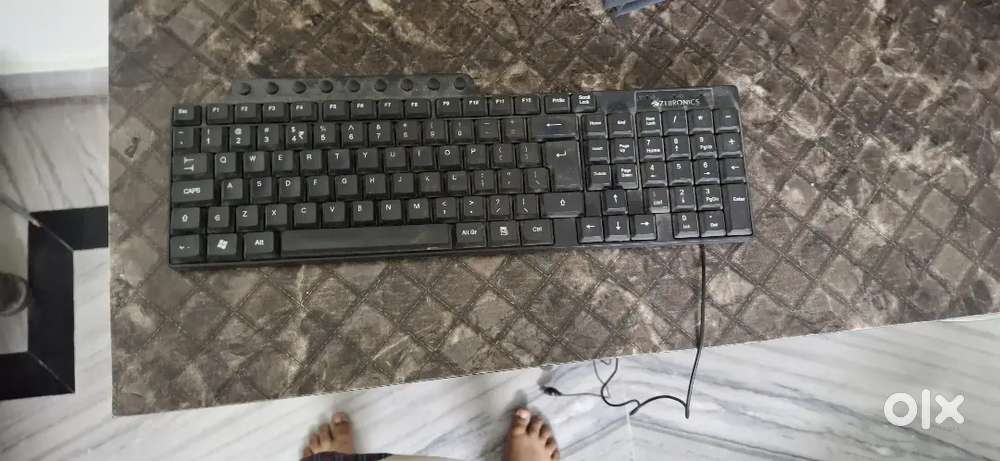 A wired zebronics keyboard (Dusty)