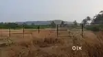 Land for sale in a prime location