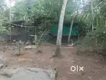 5 cent plot and 1000sq feet shed for sale