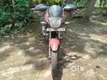 Platina 100 Cc