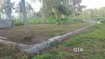 5.50 Cents Residential Plot for Sale - Anayara